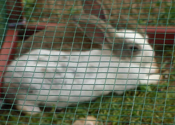 Avlu 4 Aparthotel Marmaris