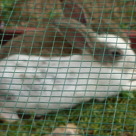 Avlu 4 Aparthotel Marmaris