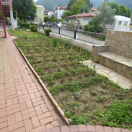 Aparthotel Avlu 4 4*