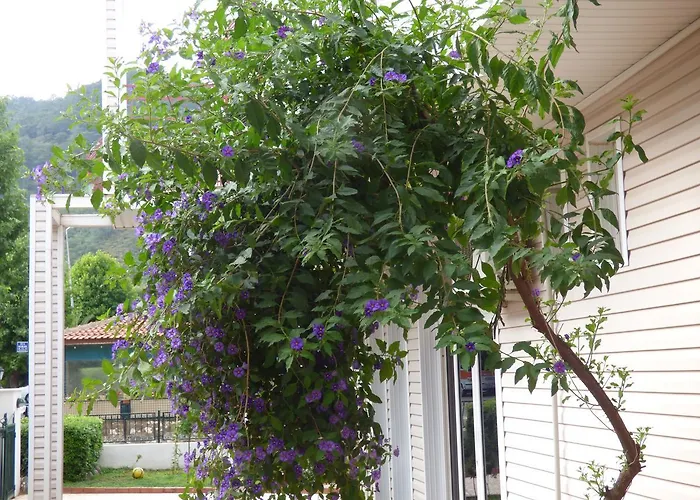 Avlu 4 Apart Апарт-отель